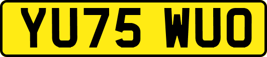 YU75WUO