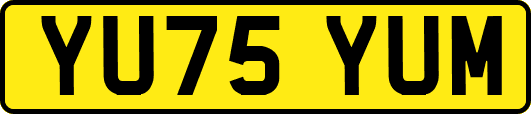 YU75YUM