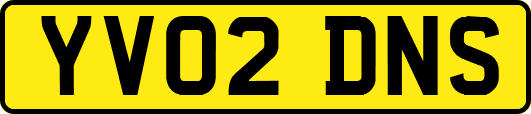 YV02DNS