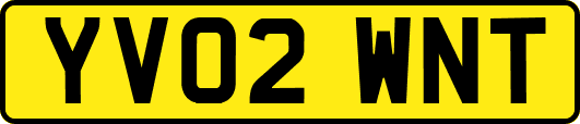 YV02WNT