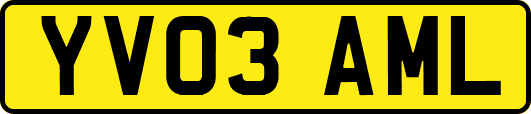 YV03AML