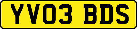 YV03BDS