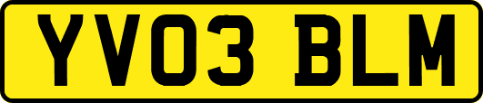 YV03BLM