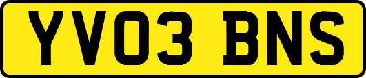 YV03BNS