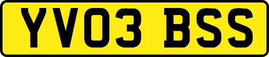 YV03BSS