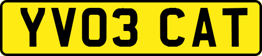 YV03CAT