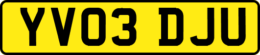 YV03DJU