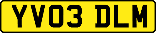 YV03DLM