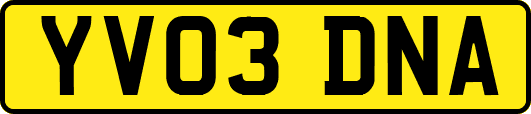 YV03DNA