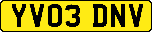 YV03DNV
