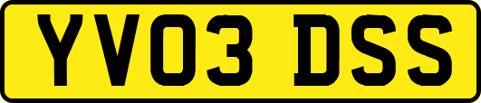 YV03DSS
