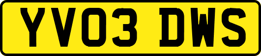 YV03DWS