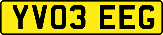 YV03EEG