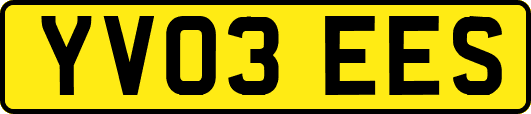 YV03EES