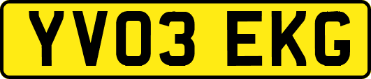 YV03EKG