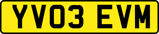 YV03EVM