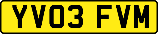 YV03FVM