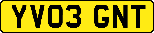 YV03GNT