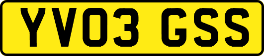 YV03GSS