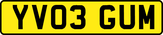 YV03GUM