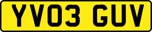 YV03GUV