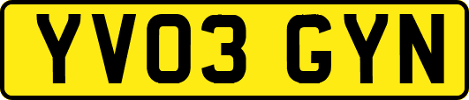 YV03GYN