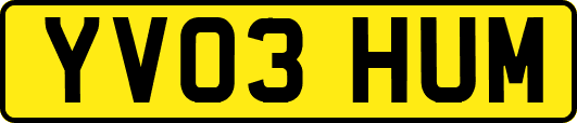 YV03HUM