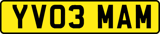 YV03MAM