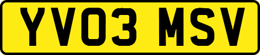 YV03MSV