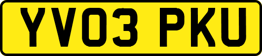 YV03PKU