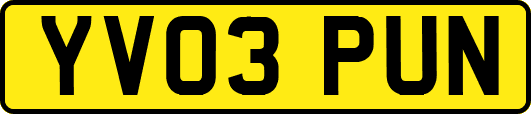 YV03PUN
