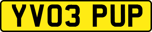 YV03PUP