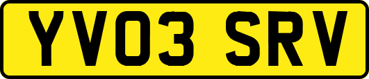YV03SRV