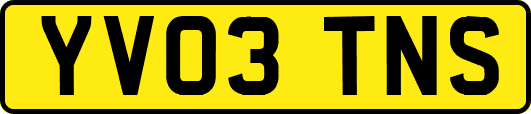 YV03TNS
