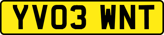YV03WNT