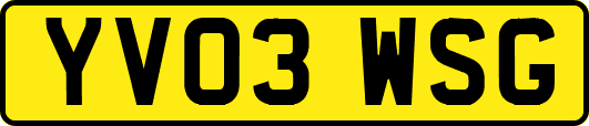 YV03WSG