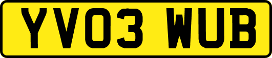 YV03WUB
