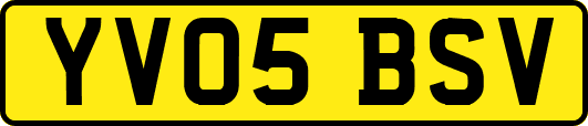 YV05BSV