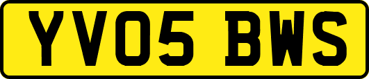 YV05BWS