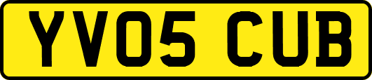 YV05CUB