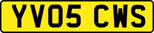 YV05CWS