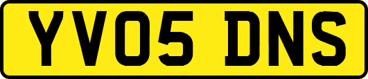 YV05DNS