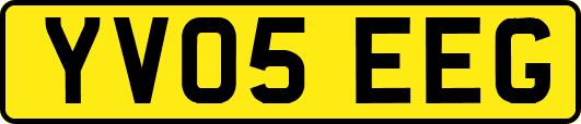 YV05EEG