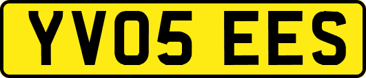 YV05EES