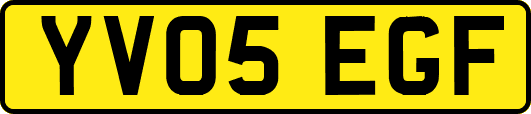 YV05EGF