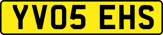 YV05EHS