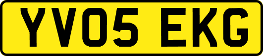 YV05EKG