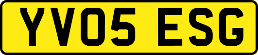 YV05ESG