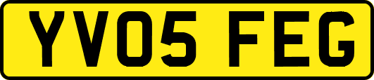 YV05FEG