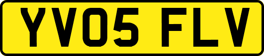 YV05FLV